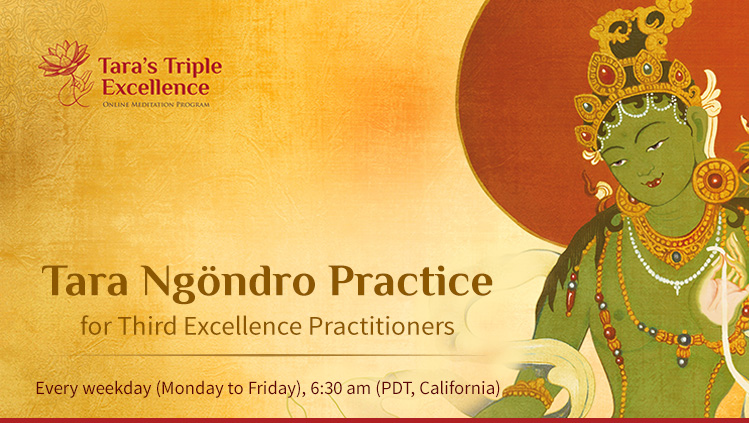 green-tara-ngondro-practice-announcement
